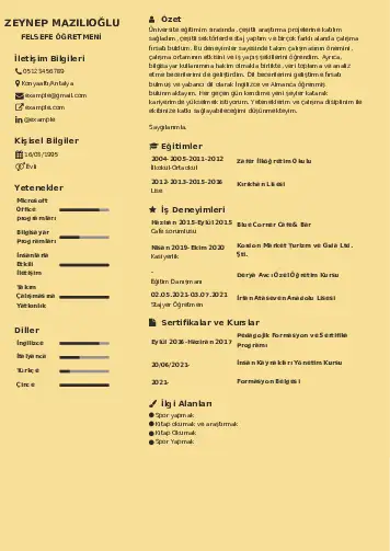 Felsefe Öğretmeni CV Örnekleri cv indir